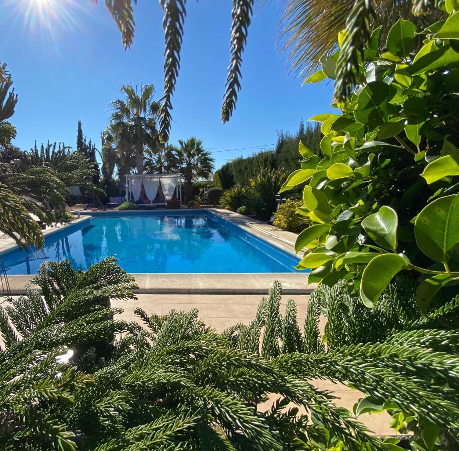 Vacaciones La Marina Costa Blanca Villa Dış mekan fotoğraf